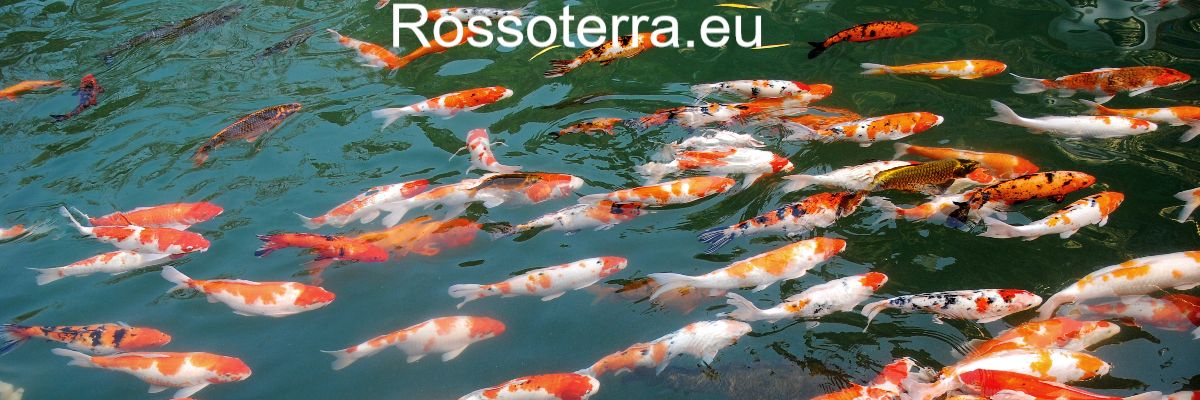 rossoterra.eu rossoterra.eu